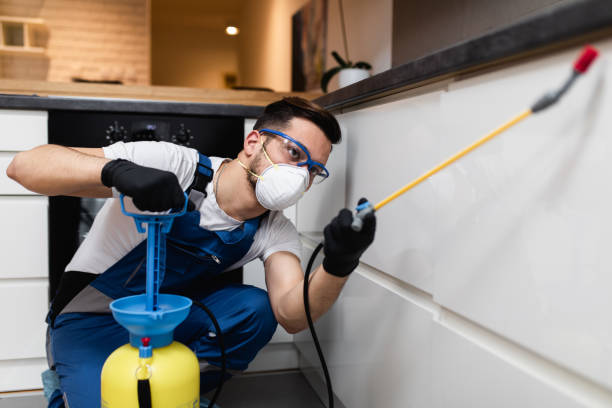 Best Cockroach Control Services  in Byram, MS