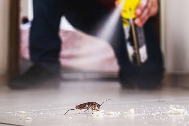 Trusted Byram, MS Pest Control Experts